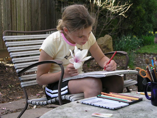 Individual Lessons